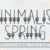 Minimalist Spring Font