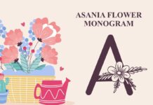 Monogram Asania Flower Font Poster 1