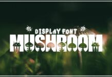 Mushroom Font Poster 1