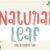 Natural Leaf Font