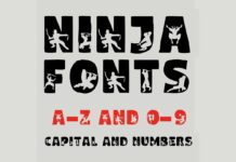 Ninja Font Poster 1