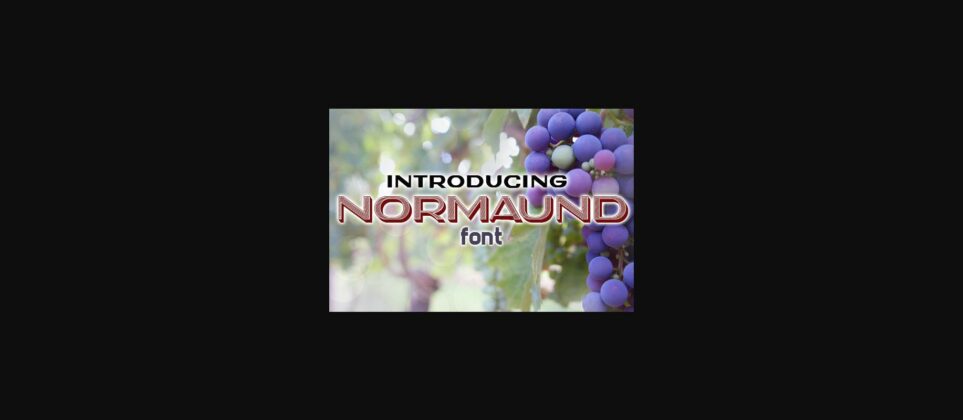 Normaund Font Poster 3