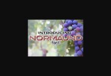 Normaund Font Poster 1