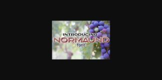 Normaund Font Poster 1