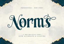 Norms Font Poster 1