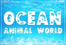 Ocean Animal World Font Poster 1
