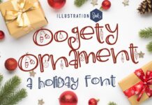 Oogety Ornament Font Poster 1