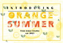 Orange Summer Font Poster 1
