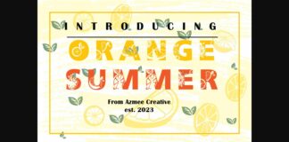 Orange Summer Font Poster 1