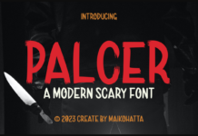 Palcer Font Poster 1