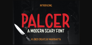 Palcer Font Poster 1