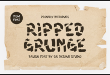 Ripped Grunge Font Poster 1