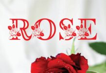Rosera Monogram Font Poster 1