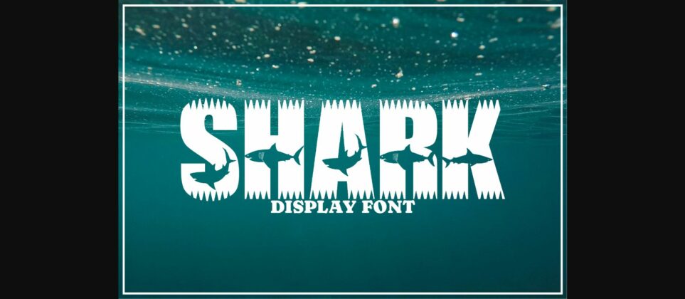 Shark Font Poster 1