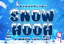 Snow Hooh Font Poster 1