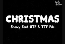 Snowy Font Poster 1