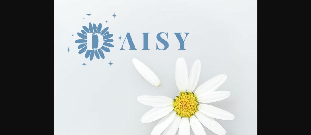 Sparkling Daisy Monogram Font Poster 4