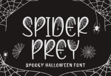 Spider Prey Font Poster 1