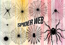 Spider Web Font Poster 1