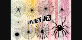 Spider Web Font Poster 1