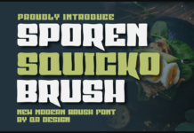 Sporen Squicko Brush Font Poster 1