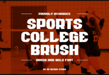 Sports College Brush Font Poster 1