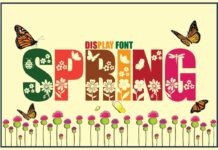 Spring Font Poster 1