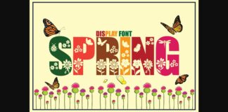 Spring Font Poster 1