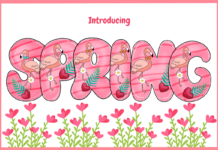 Spring Font Spring Font Poster 1