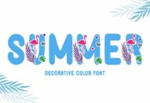 Summer Font Summer Font Poster 1