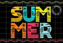 Summer Font Poster 1