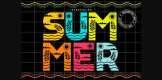 Summer Font Poster 1