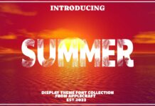 Summer Font Poster 1