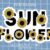 Sunflower Font