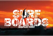 Surf Boards Font Poster 1