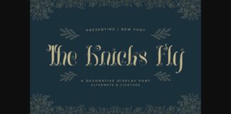 The Knicks Fly Font Poster 1