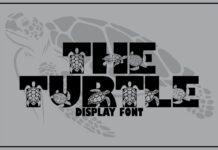 Theturtle Font Poster 1