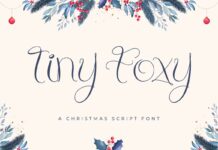 Tiny Foxy Font Poster 1
