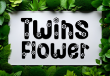 Twins Flower Font Poster 1