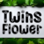 Twins Flower Font