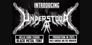 Understood Font Poster 1