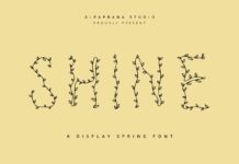 Shine Font Poster 1