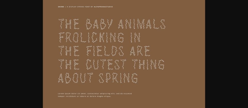 Shine Font Poster 9