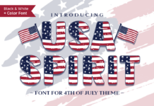 Usa Spirit Font Poster 1