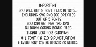 Valentine Font Poster 1