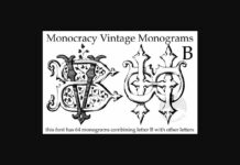 Vintage Monograms B Font Poster 1