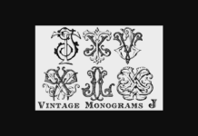 Vintage Monograms J Font Poster 1