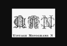 Vintage Monograms N Font Poster 1