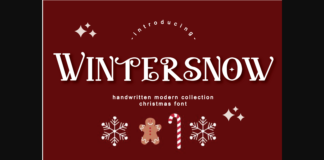 Wintersnow Font Poster 1