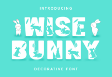 Wise Bunny Font Poster 1